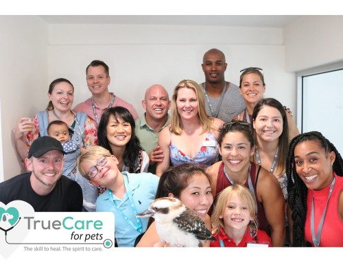True Care for Pets Open House